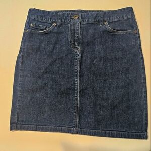 Ann Taylor Denim Skirt